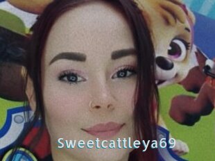 Sweetcattleya69