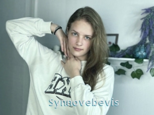 Synnovebevis