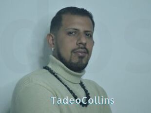 TadeoCollins