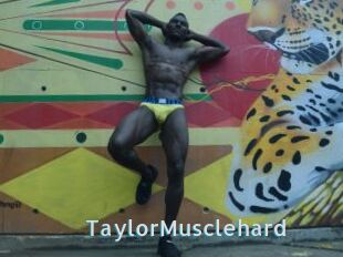 TaylorMusclehard