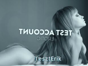 TesztErik