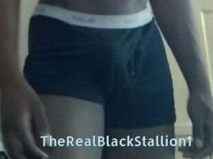 TheRealBlackStallion1