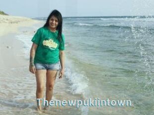 Thenewpukiintown