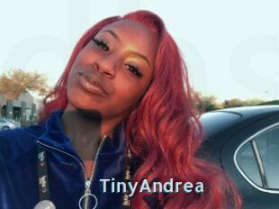 TinyAndrea