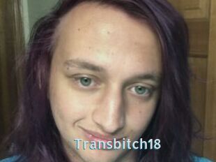 Transbitch18