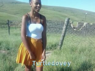 Turtledovey