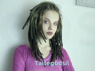 Taitegodsil