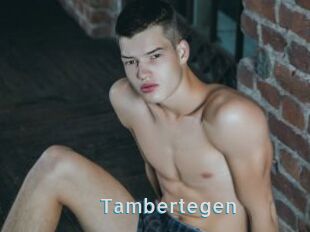 Tambertegen