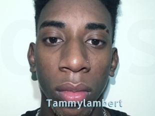 Tammylambert