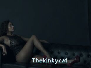 Thekinkycat