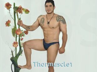 Thormuscle1