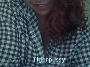 Tigerpussy