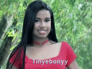 Tinyebonyy
