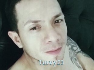 Torvy23