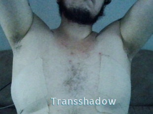 Transshadow