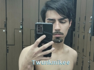 Twunkmikee