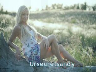 Ursecretsandy