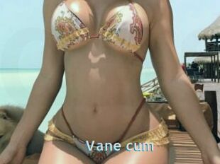 Vane_cum