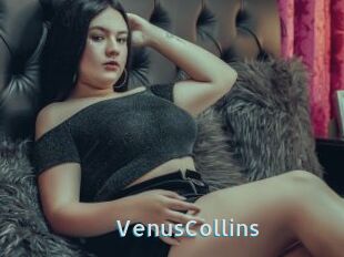 VenusCollins
