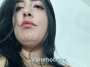 Vaneholmes
