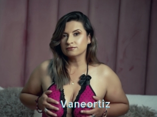 Vaneortiz