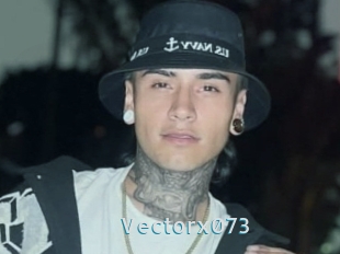 Vectorx073