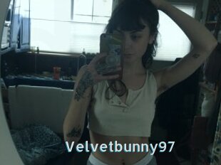 Velvetbunny97