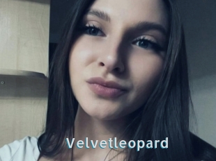 Velvetleopard
