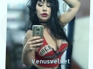 Venusvelvet