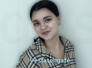 Vestatongate