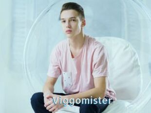 Viggomister