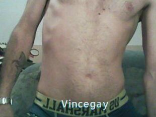 Vincegay