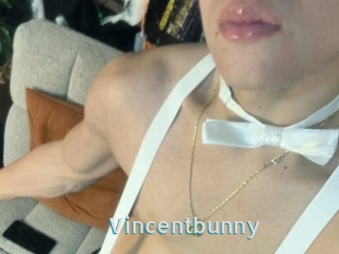 Vincentbunny