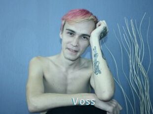 Voss