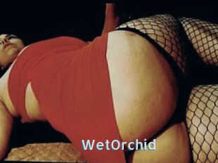 WetOrchid