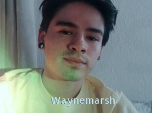 Waynemarsh