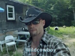 Wildcowboy