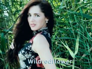 Wildredflower