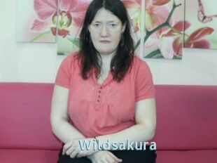 Wildsakura