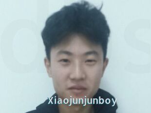 Xiaojunjunboy