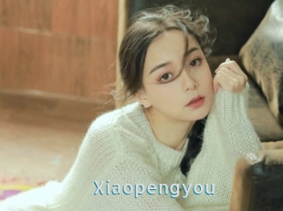 Xiaopengyou