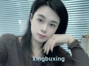 Xingbuxing