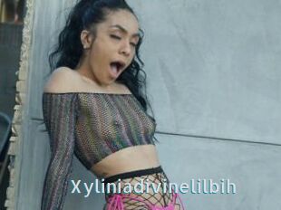 Xyliniadivinelilbih