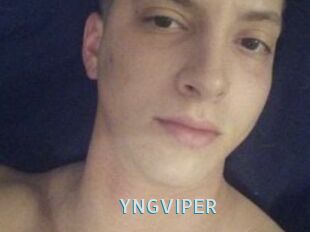 YNGVIPER