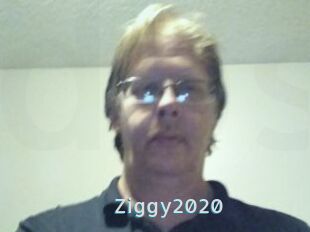 Ziggy2020