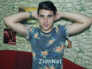 ZionNat