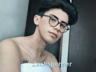 Zachspenser