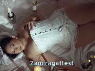 Zamiragattest