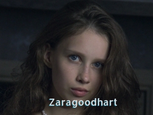 Zaragoodhart