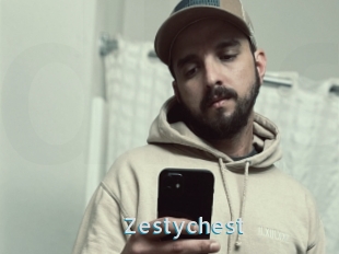 Zestychest